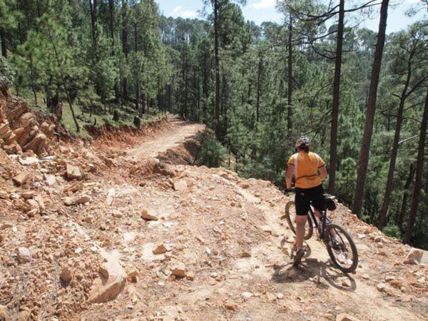 Uttarakhand Resort Kausani Eksteriør billede