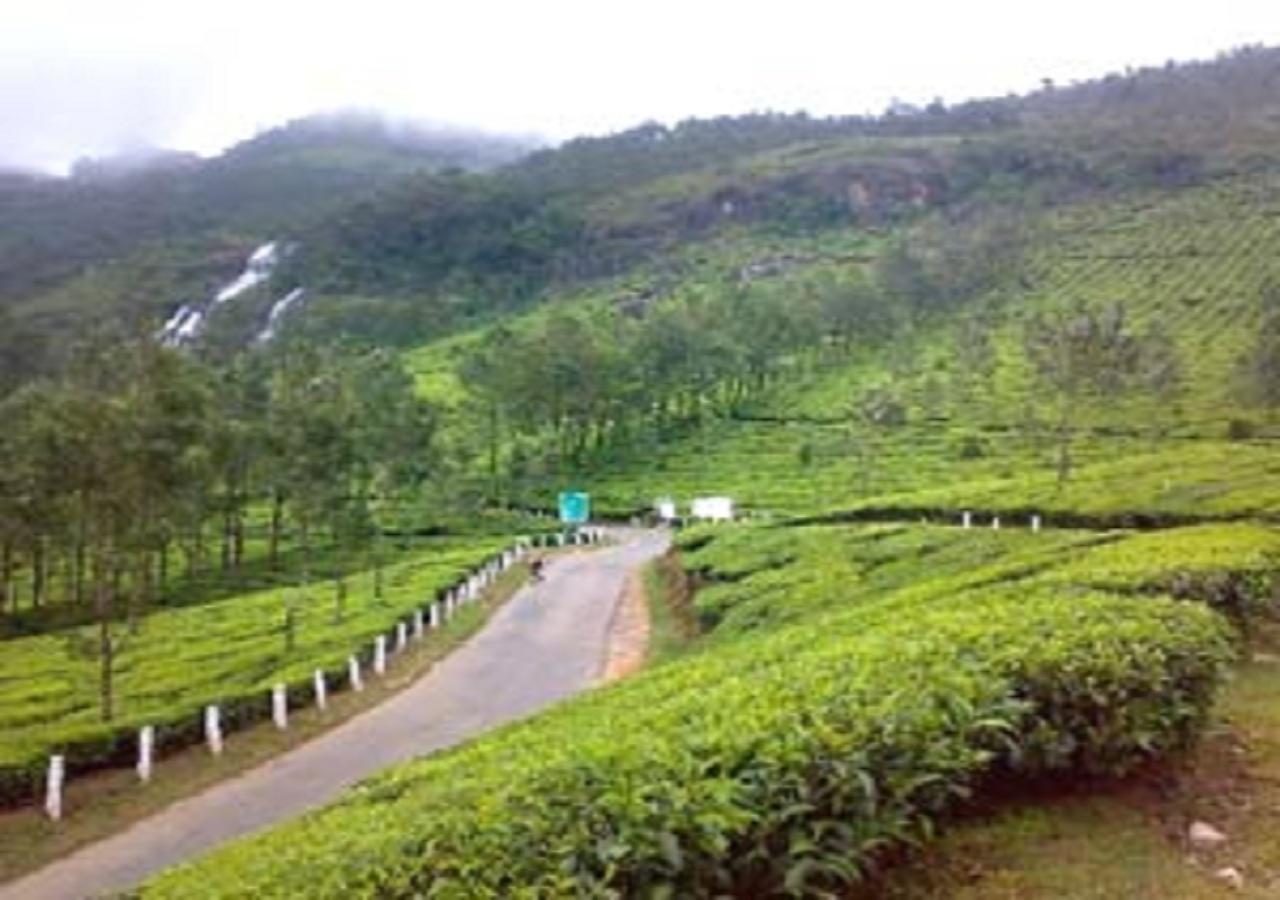 Uttarakhand Resort Kausani Eksteriør billede