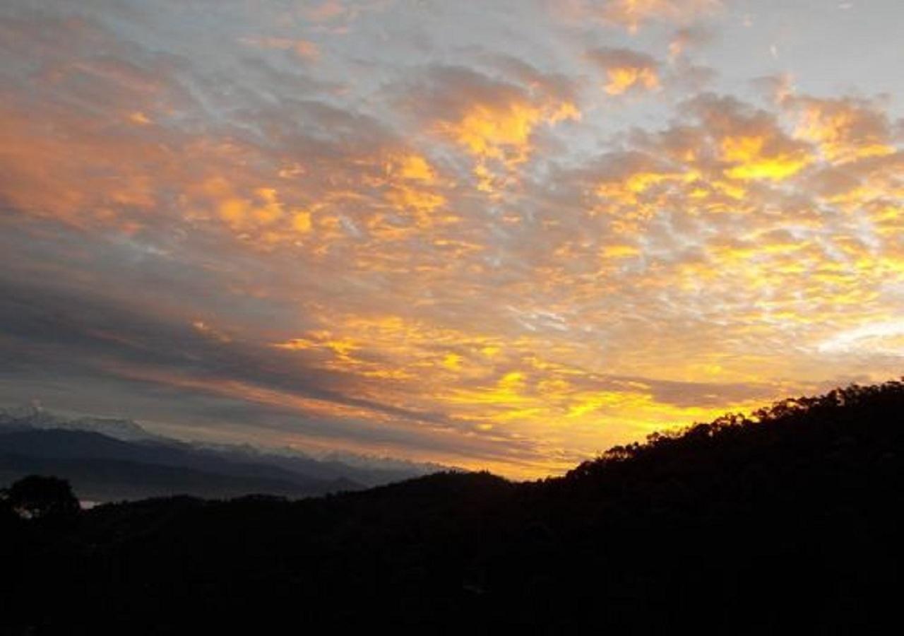 Uttarakhand Resort Kausani Eksteriør billede