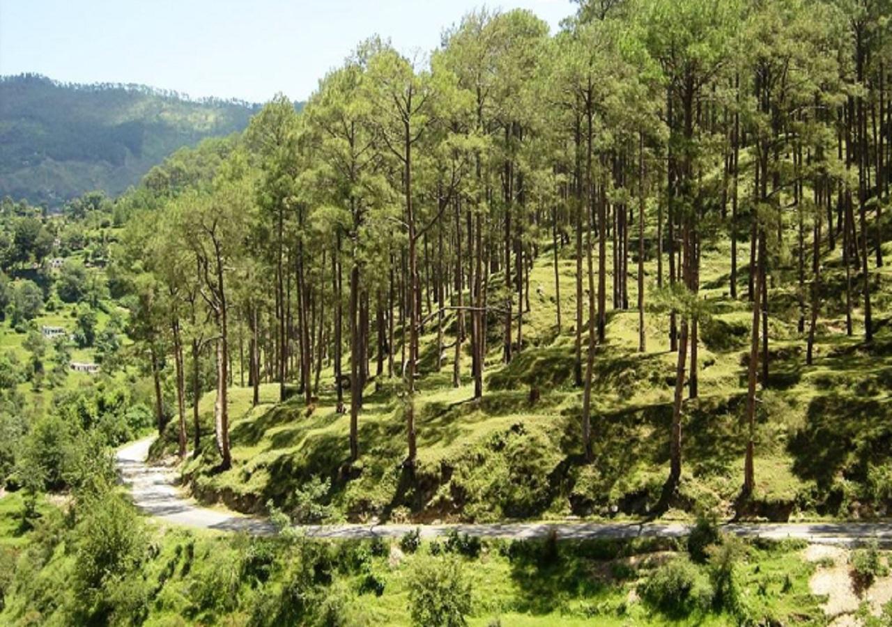 Uttarakhand Resort Kausani Eksteriør billede